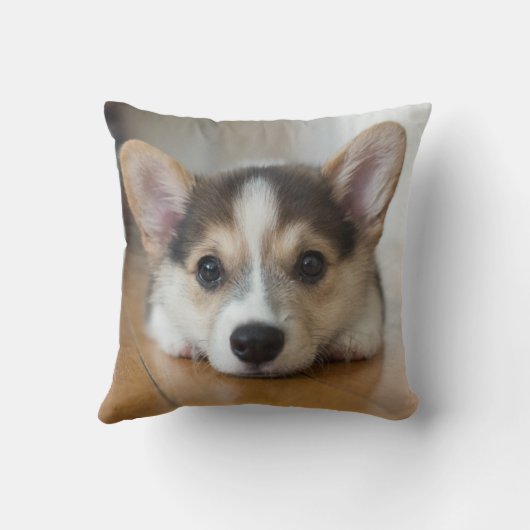 最も可愛い赤ん坊の動物 |コーギパピー探し クッション (裏面)