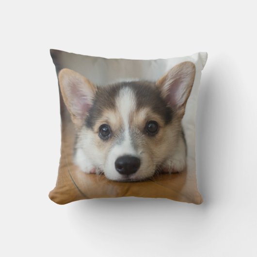 最も可愛い赤ん坊の動物 |コーギパピー探し クッション (正面)