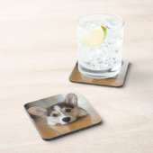 最も可愛い赤ん坊の動物 |コーギパピー探し コースター (右側)