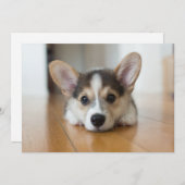 最も可愛い赤ん坊の動物 |コーギパピー探し サンキューカード (正面/裏面)