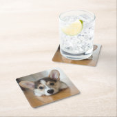 最も可愛い赤ん坊の動物 |コーギパピー探し スクエアペーパーコースター (インサイチュ)