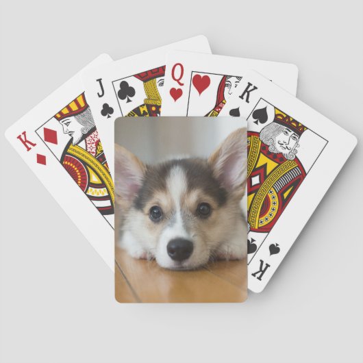 最も可愛い赤ん坊の動物 |コーギパピー探し トランプ (裏面)