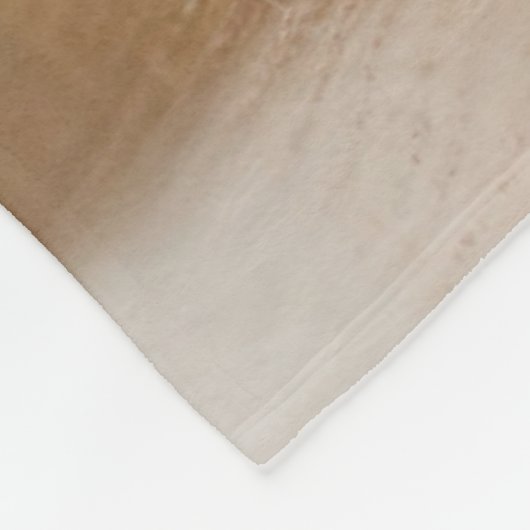 最も可愛い赤ん坊の動物 |コーギパピー探し フリースブランケット (角)