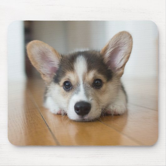 最も可愛い赤ん坊の動物 |コーギパピー探し マウスパッド (正面)