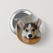 最も可愛い赤ん坊の動物 |コーギパピー探し 缶バッジ (正面&裏面)