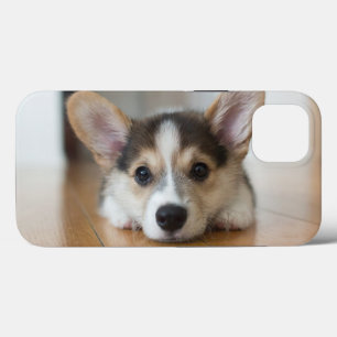 最も可愛い赤ん坊の動物 コーギパピー探し iPhone 13ケース