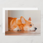 最も可愛い赤ん坊の動物 |コーギ眠り サンキューカード (正面/裏面)