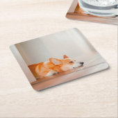 最も可愛い赤ん坊の動物 |コーギ眠り スクエアペーパーコースター (アングル)