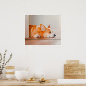 最も可愛い赤ん坊の動物 |コーギ眠り ポスター (キッチン)