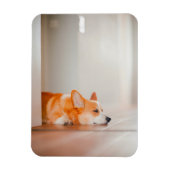 最も可愛い赤ん坊の動物 |コーギ眠り マグネット (縦)