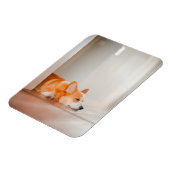 最も可愛い赤ん坊の動物 |コーギ眠り マグネット (左側)