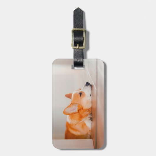 最も可愛い赤ん坊の動物 |コーギ眠り ラゲッジタグ (正面縦)