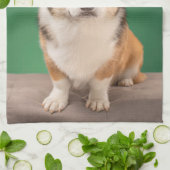 最も可愛い赤ん坊の動物 |コーギ誕生日子犬 キッチンタオル (折り畳み)