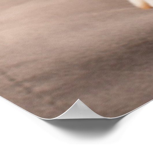 最も可愛い赤ん坊の動物 |コーギ誕生日子犬 ポスター (角)