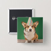最も可愛い赤ん坊の動物 |コーギ誕生日子犬 缶バッジ (正面&裏面)