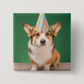 最も可愛い赤ん坊の動物 |コーギ誕生日子犬 缶バッジ (正面)