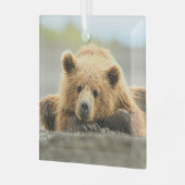 最も可愛い赤ん坊の動物 |コースタルブラウンベア ガラスオーナメント (正面左)