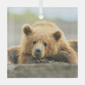 最も可愛い赤ん坊の動物 |コースタルブラウンベア ガラスオーナメント (正面)