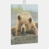 最も可愛い赤ん坊の動物 |コースタルブラウンベア ガラスオーナメント (正面右)