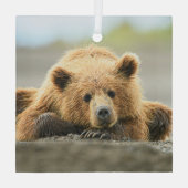 最も可愛い赤ん坊の動物 |コースタルブラウンベア ガラスオーナメント (裏面)