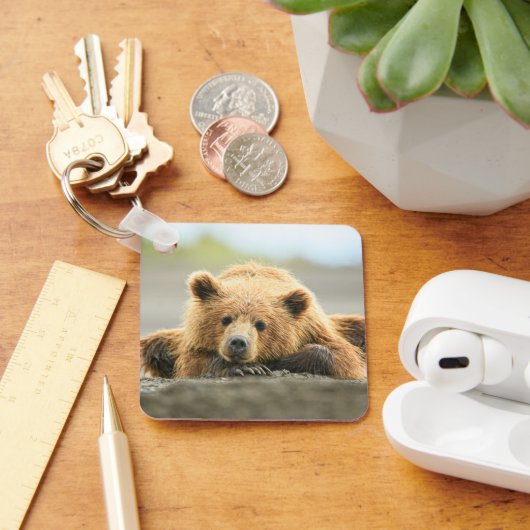 最も可愛い赤ん坊の動物 |コースタルブラウンベア キーホルダー (デスク)