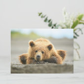 最も可愛い赤ん坊の動物 |コースタルブラウンベア サンキューカード (スタンド正面)