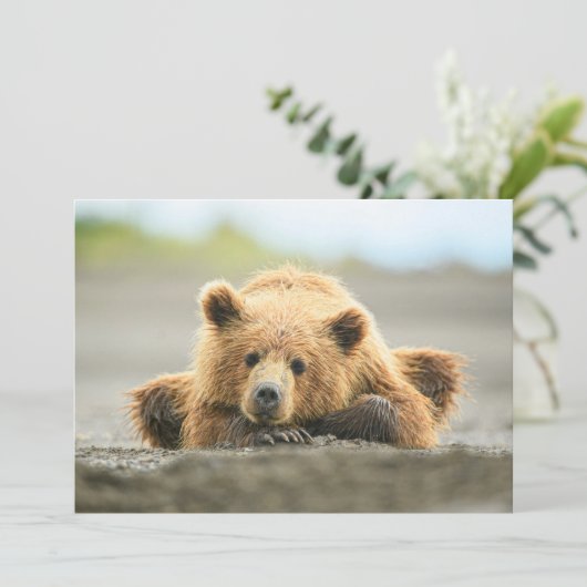 最も可愛い赤ん坊の動物 |コースタルブラウンベア サンキューカード (スタンド正面)