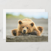 最も可愛い赤ん坊の動物 |コースタルブラウンベア サンキューカード (正面/裏面)