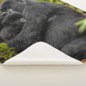 最も可愛い赤ん坊の動物 |ゴリラとベビー シェルパブランケット (3/4)