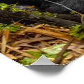 最も可愛い赤ん坊の動物 |ゴリラとベビー ポスター (角)