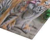 最も可愛い赤ん坊の動物 |シベリアのタイガーファミリー カッティングボード (角)