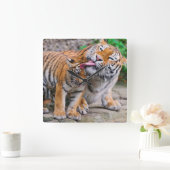 最も可愛い赤ん坊の動物 |シベリアのタイガーファミリー スクエア壁時計 (ホーム)