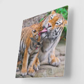 最も可愛い赤ん坊の動物 |シベリアのタイガーファミリー スクエア壁時計 (傾斜)
