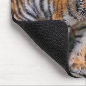 最も可愛い赤ん坊の動物 |シベリアのタイガーファミリー マウスパッド (コーナー)