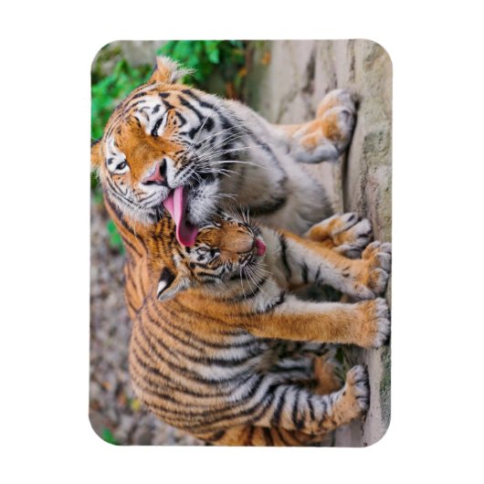 最も可愛い赤ん坊の動物 |シベリアのタイガーファミリー マグネット (縦)