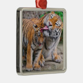 最も可愛い赤ん坊の動物 |シベリアのタイガーファミリー メタルオーナメント (右)