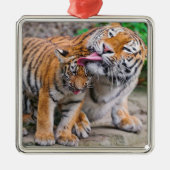 最も可愛い赤ん坊の動物 |シベリアのタイガーファミリー メタルオーナメント (正面)