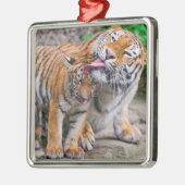 最も可愛い赤ん坊の動物 |シベリアのタイガーファミリー メタルオーナメント (左)