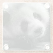 最も可愛い赤ん坊の動物 |ジャイアントパンダのクマ ガラスコースター (裏面)