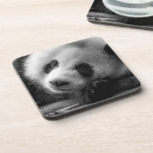 最も可愛い赤ん坊の動物 |ジャイアントパンダのクマ コースター (左側)