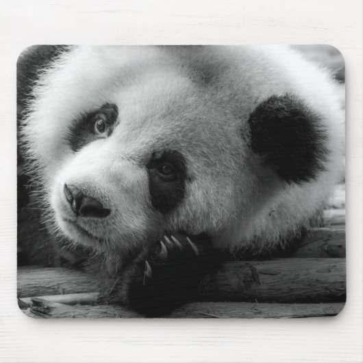 最も可愛い赤ん坊の動物 |ジャイアントパンダのクマ マウスパッド (正面)