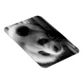 最も可愛い赤ん坊の動物 |ジャイアントパンダのクマ マグネット (右側)