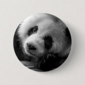 最も可愛い赤ん坊の動物 |ジャイアントパンダのクマ 缶バッジ (正面)
