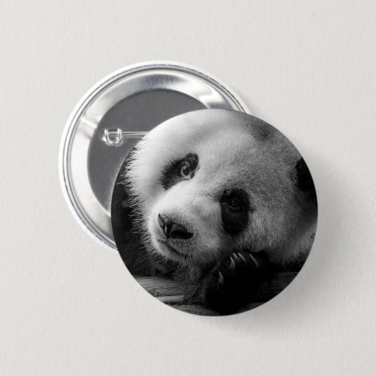 最も可愛い赤ん坊の動物 |ジャイアントパンダのクマ 缶バッジ (正面&裏面)