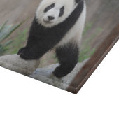 最も可愛い赤ん坊の動物 |ジャイアントパンダベビー カッティングボード (角)