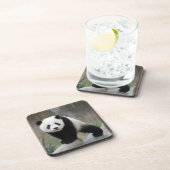 最も可愛い赤ん坊の動物 |ジャイアントパンダベビー コースター (右側)