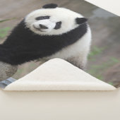 最も可愛い赤ん坊の動物 |ジャイアントパンダベビー シェルパブランケット (3/4)