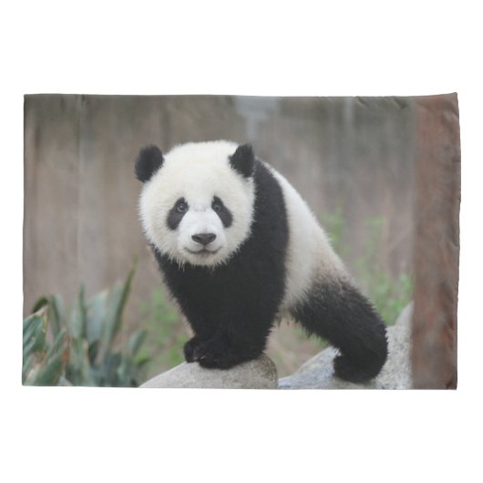 最も可愛い赤ん坊の動物 |ジャイアントパンダベビー 枕カバー (裏面)