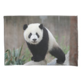 最も可愛い赤ん坊の動物 |ジャイアントパンダベビー 枕カバー (正面)