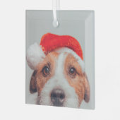最も可愛い赤ん坊の動物 |ジャック・ラッセル・ドッグ・サンタクロース ガラスオーナメント (正面左)